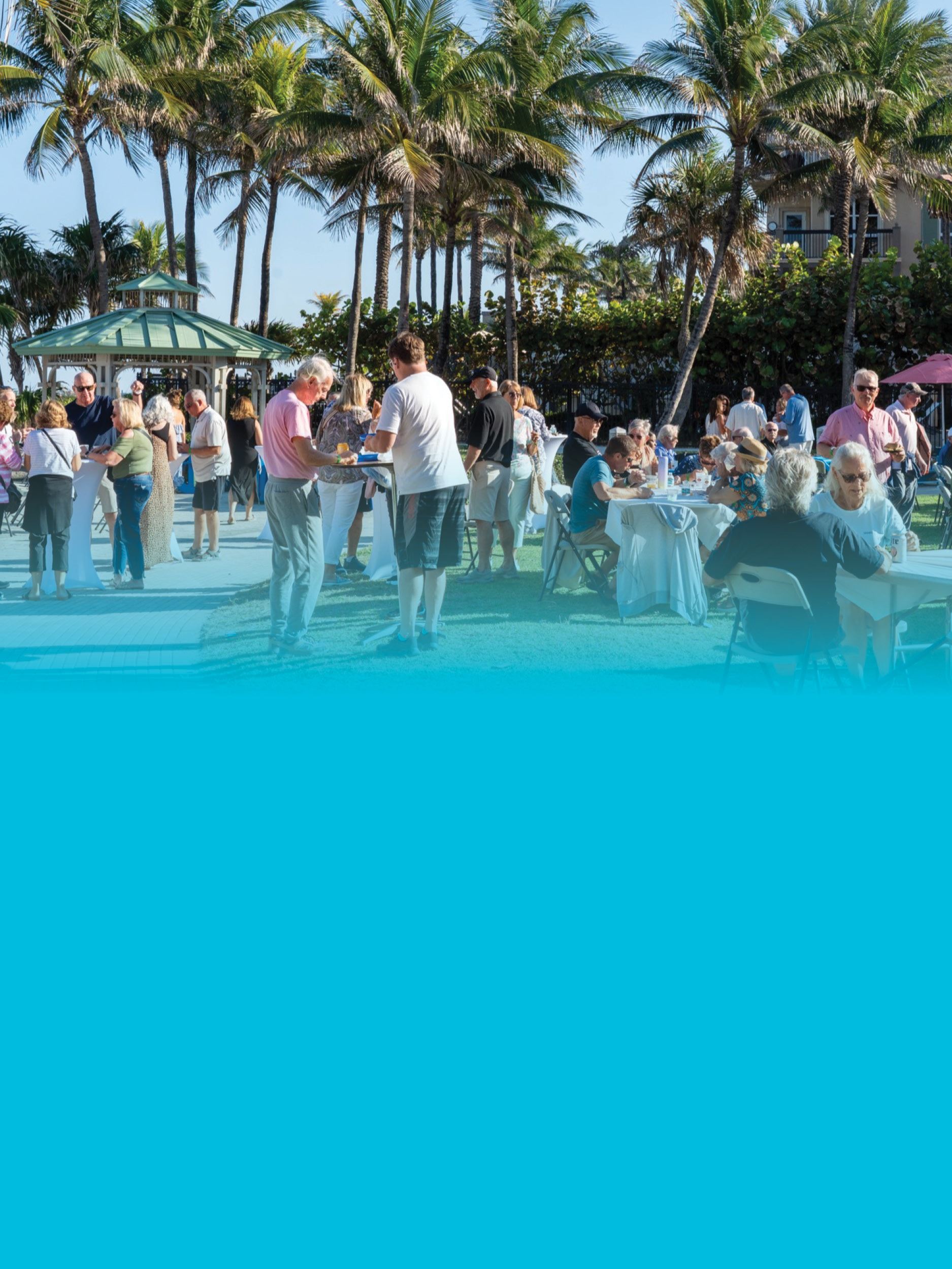 LBTS Taste of the Beach Newsflash Graphics