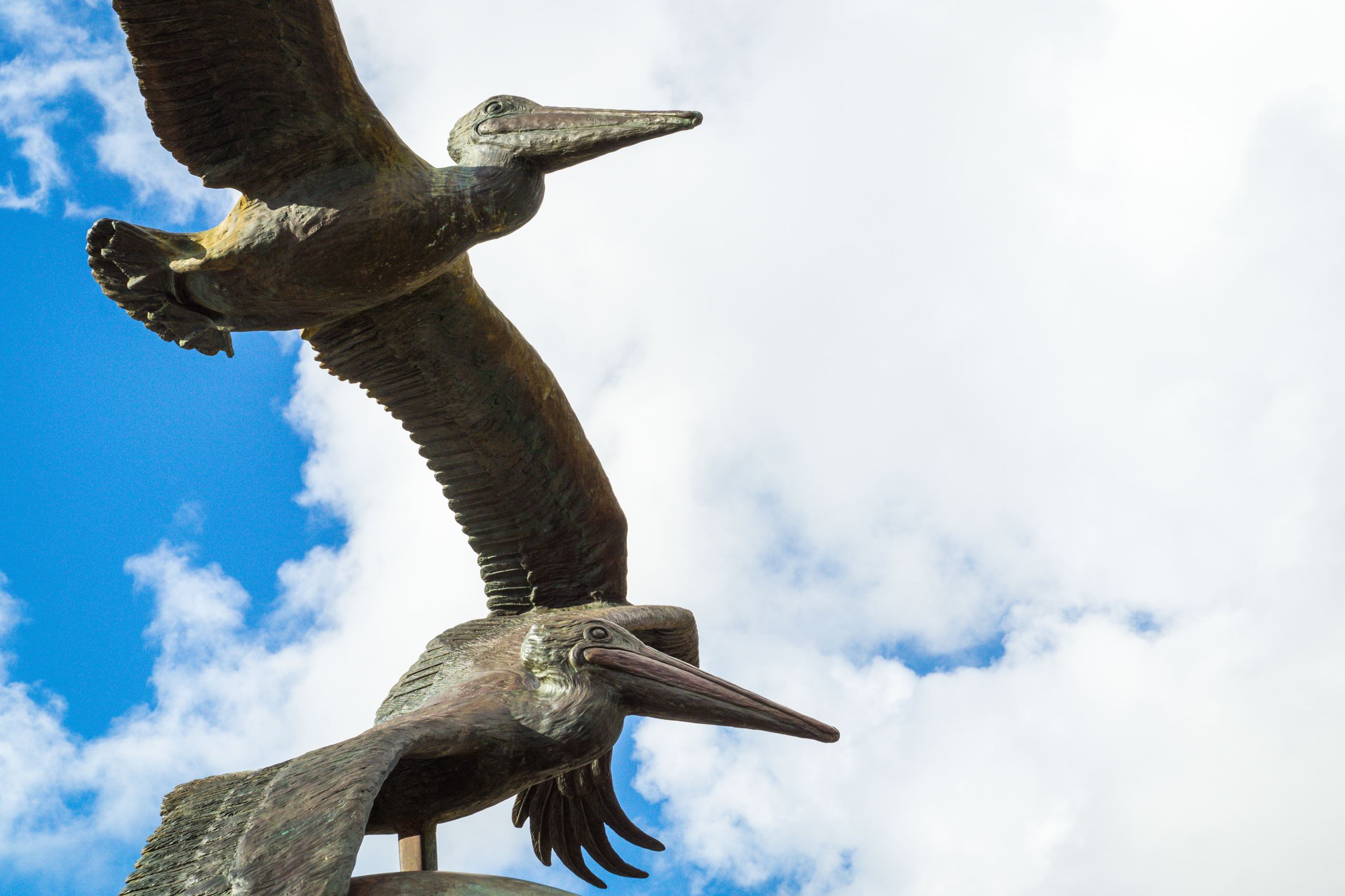 Pelicans in Flight Sculpture